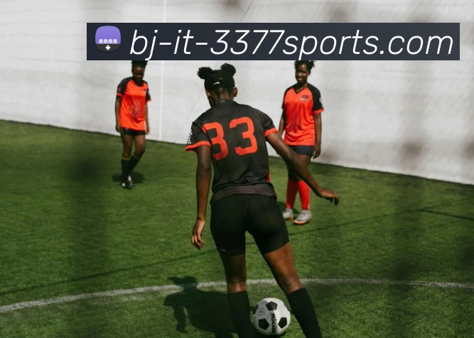 3377官网服务体系